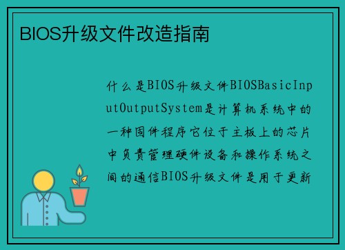 BIOS升级文件改造指南